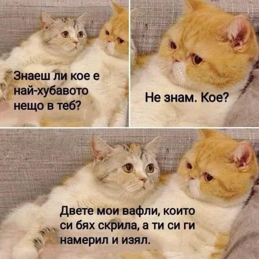 Знаеш ли кое е най-хубавото нещо в теб? Не знам. Кое? Двете мои вафли, които си бях скрила, а ти си ги намерил и изял.