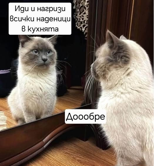 Иди и нагризи всички наденици в кухнята Доообре