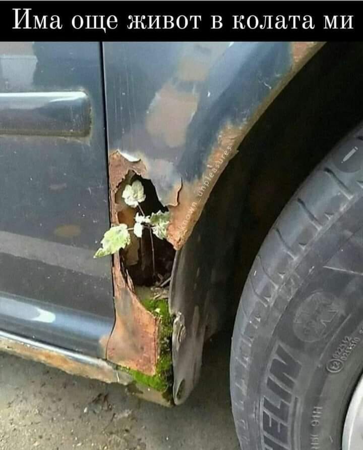 Има още живот в колата ми