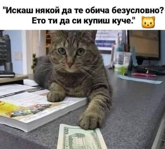 "Искаш някой да те обича безусловно? Ето ти да си купиш куче."