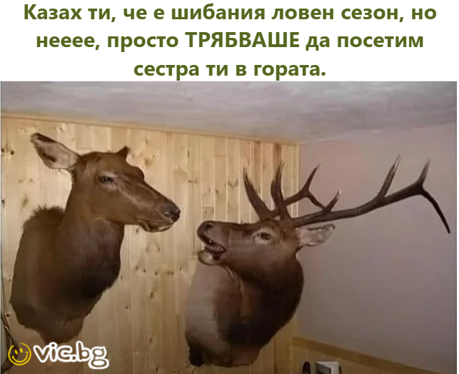 Казах ти, че е шибания ловен сезон, но нееее, просто ТРЯБВАШЕ да посетим сестра ти в гората.