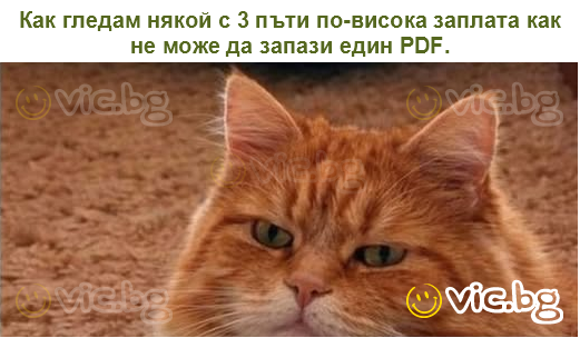 Как гледам някой с 3 пъти по-висока заплата как не може да запази един PDF.