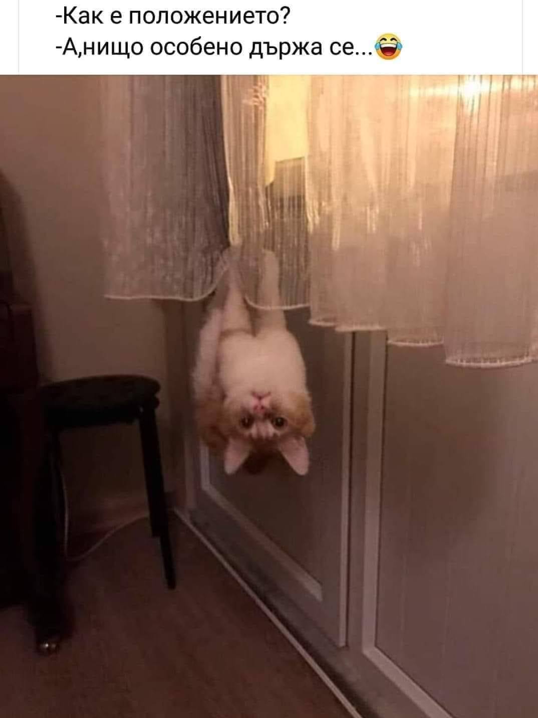 - Как е положението? - А, нищо особено, държа се