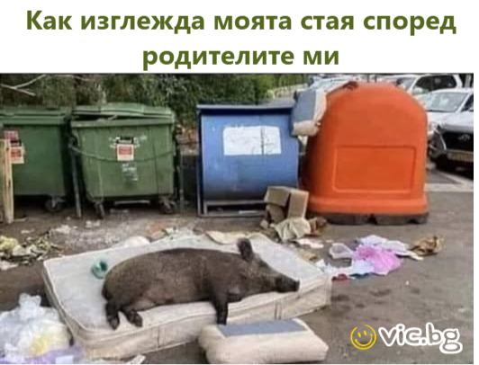 Как изглежда моята стая, според родителите ми