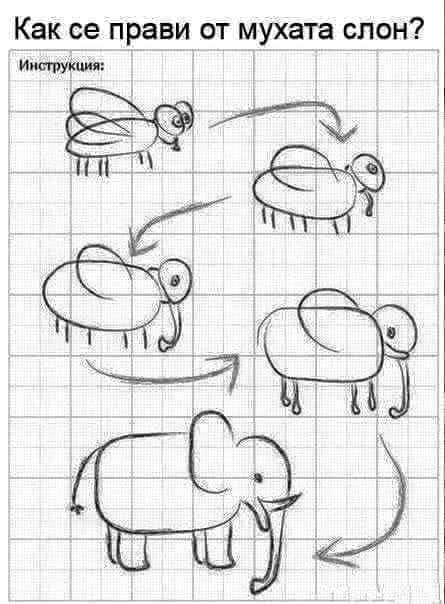 Как се прави от мухата слон 