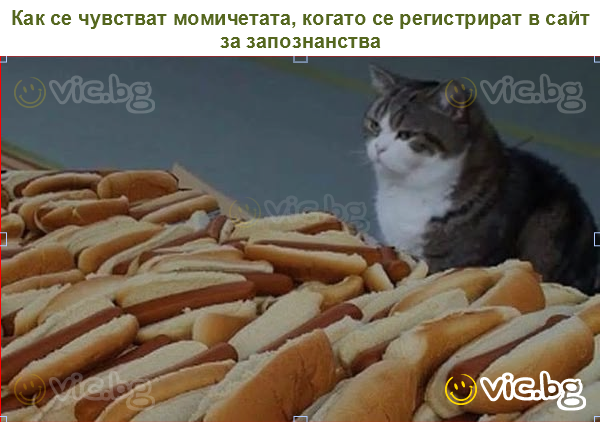 Как се чувстват момичетата, когато се регистрират в сайт за запознанства