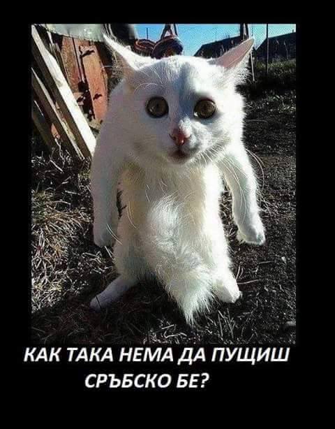 Как така няма да пуснеш сръбско?