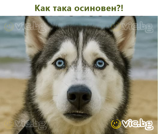 Как така осиновен?!