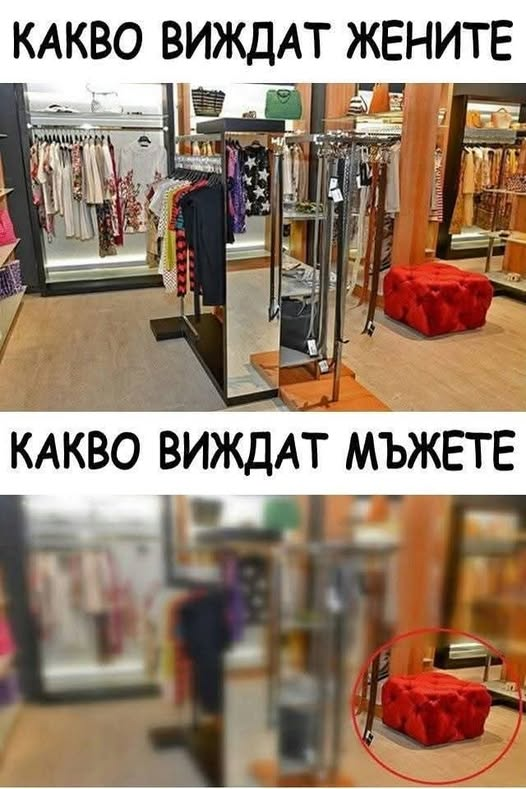 Какво виждат жените. Какво виждат мъжете.
