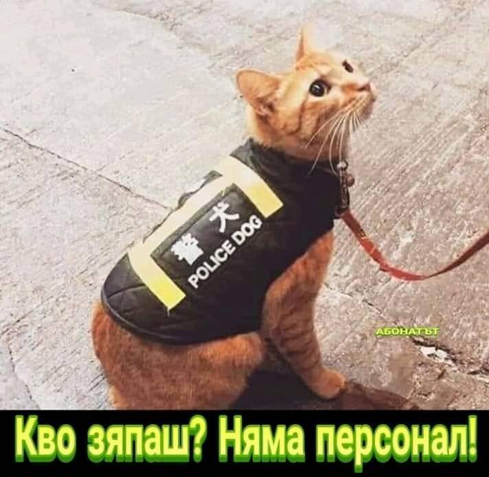 Какво зяпаш? Няма персонал