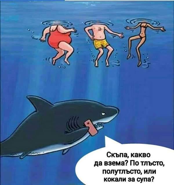 Какво месо?