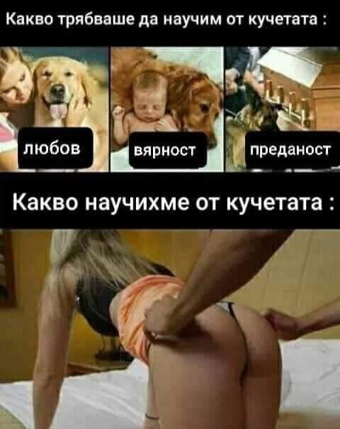 Какво трябваше да научим от кучетата? Любов Вярност Преданост И какво реално научихме