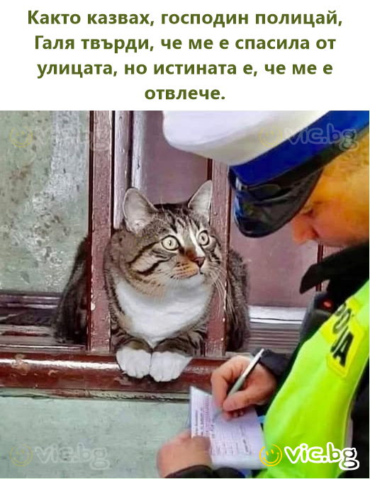 Както казвах, господин полицай, Галя твърди, че ме е спасила от улицата, но истината е, че ме е отвлече.