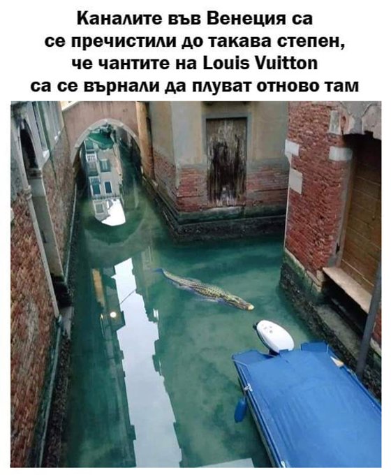 Каналите във Венеция са се пречистили до такава степен. че чантите Louis Vuitton са се върнали да плуват отново там 
