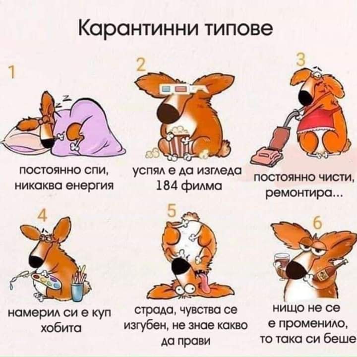 Карантинни типове