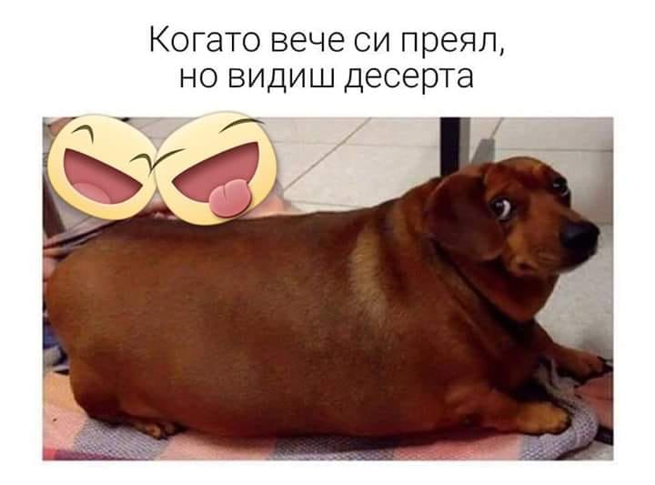 Като вече си преял, ама видиш десерта