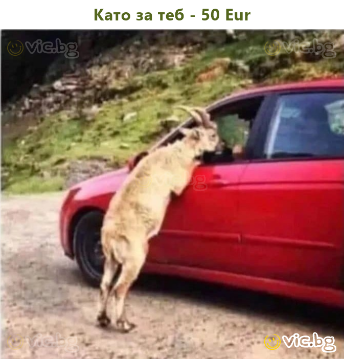 Като за теб - 50 Eur