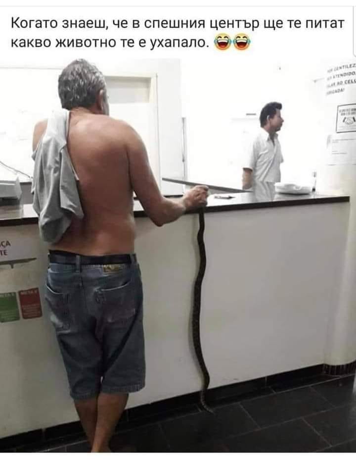 Като знаеш, че в спешният център ще те питат какво животно те е ухапало