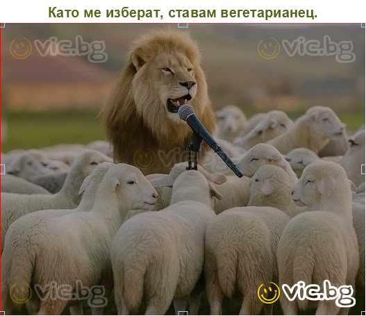 Като ме изберат, ставам вегетарианец.