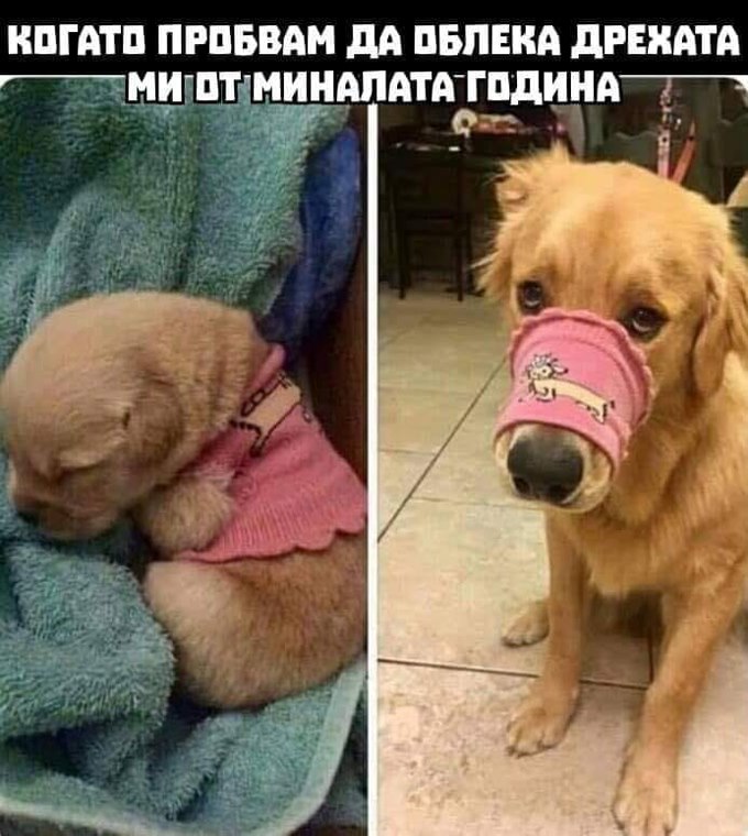 Като пробвам да облека дрехата от минала година