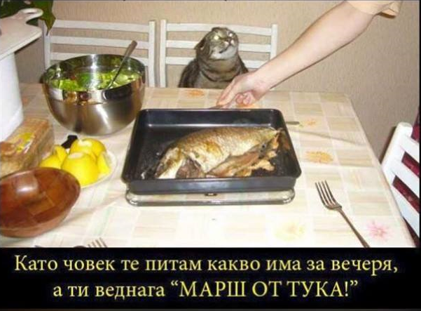 Като човек те питам какво има за вечеря, а ти веднага "Марш от тука!"