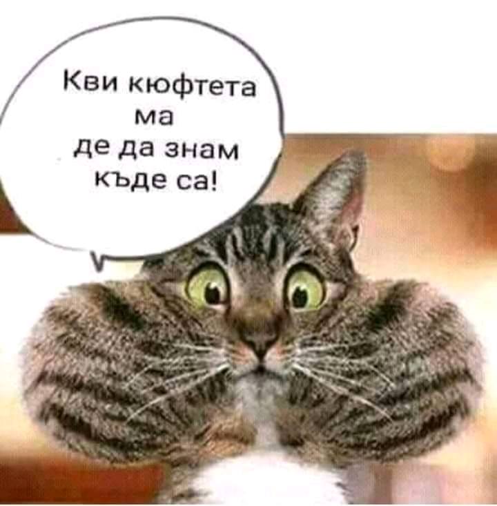 - Кви кюфтета ма!? Де да знам къде са