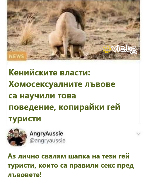 Кенийските власти: Хомосексуалните лъвове са научили това поведение, копирайки гей туристи. Аз лично свалям шапка на тези гей туристи, които са правили секс пред лъвовете!
