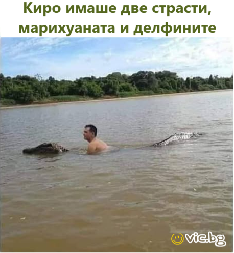 Киро имаше две страсти, марихуаната и делфините