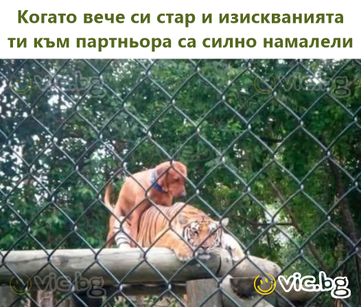 Когато вече си стар и изискванията ти към партньора са силно намалели