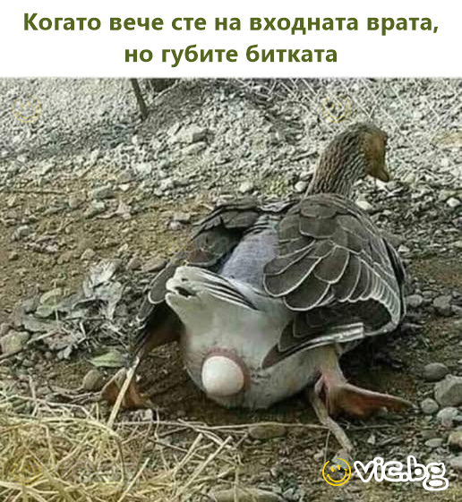 Когато вече сте на входната врата, но губите битката