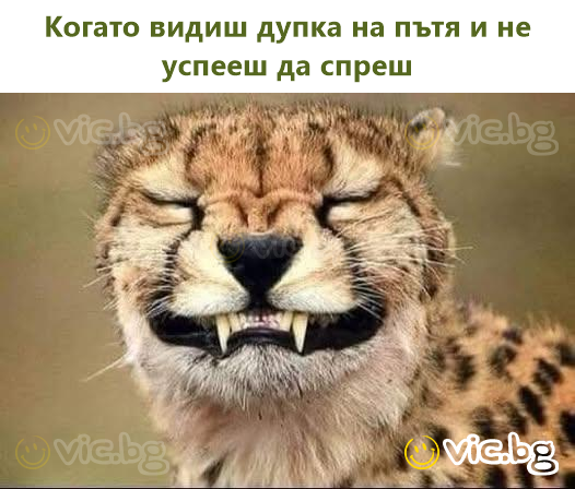 Когато видиш дупка на пътя и не успееш да спреш