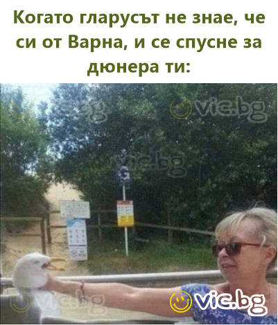 Когато гларусът не знае, че си от Варна, и се спусне за дюнера ти: