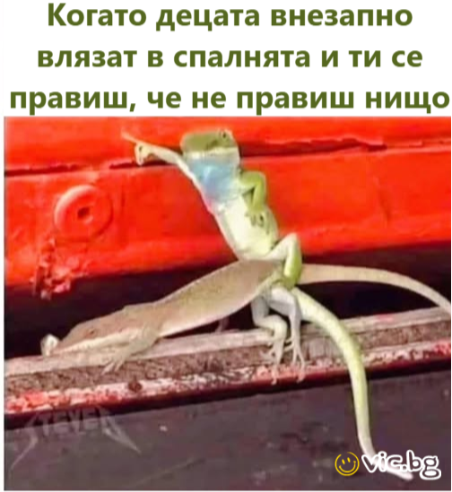 Когато децата внезапно влязат в спалнята и ти се правиш, че не правиш нищо   