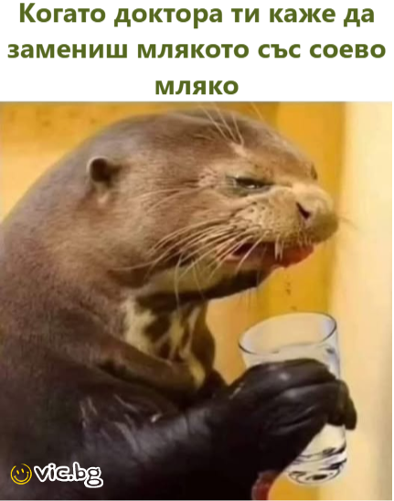 Когато доктора ти каже да замениш млякото със соево мляко