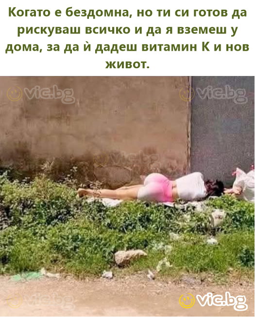 Когато е бездомна, но ти си готов да рискуваш всичко и да я вземеш у дома, за да ѝ дадеш витамин К и нов живот.