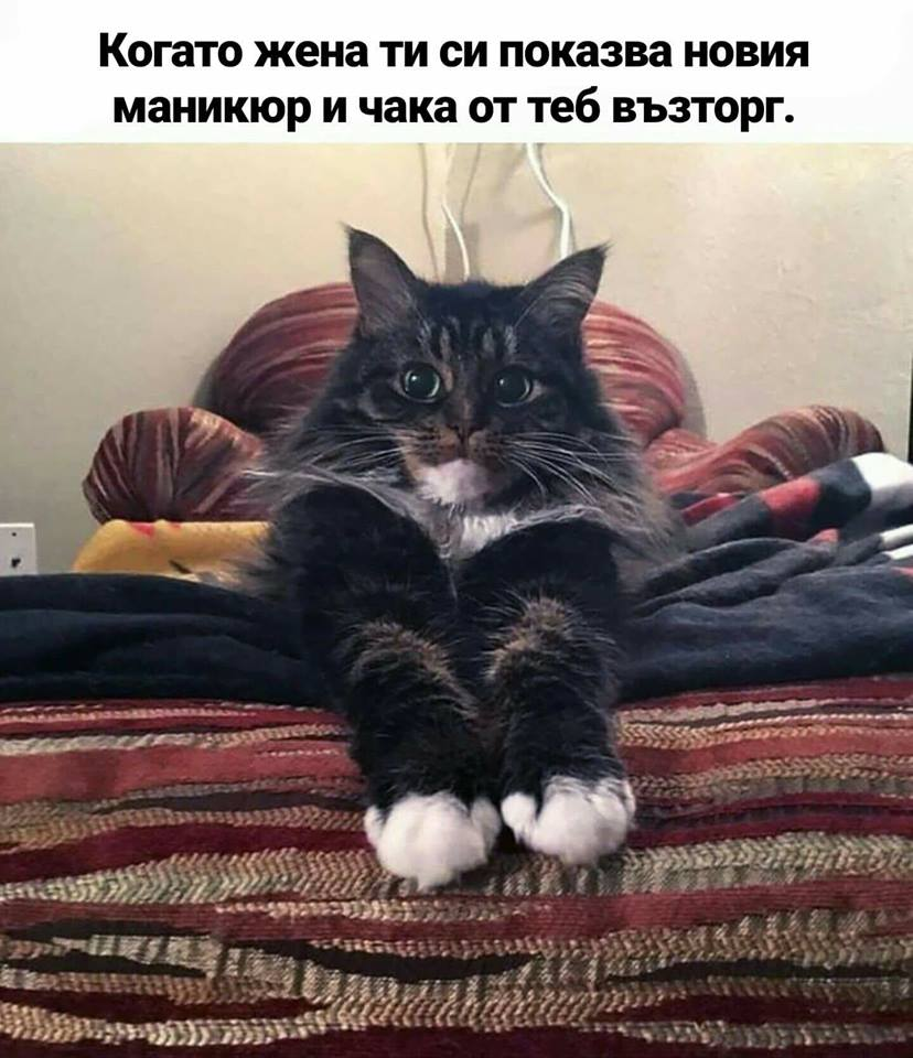 Когато жена ти си показва новия маникюр и очаква от теб възторг