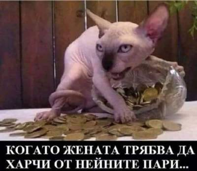 Когато жената трябва да харчи от нейните пари...