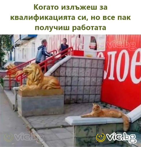 Когато излъжеш за квалификацията си, но все пак получиш работата