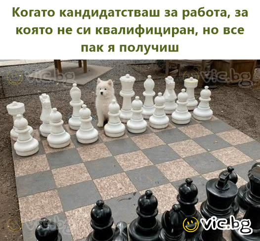 Когато кандидатстваш за работа, за която не си квалифициран, но все пак я получиш