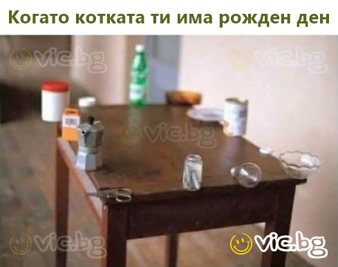 Когато котката ти има рожден ден