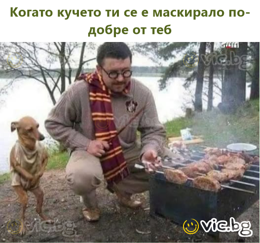 Когато кучето ти се е маскирало по-добре от теб
