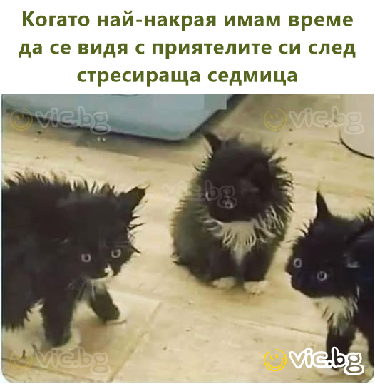 Когато най-накрая имам време да се видя с приятелите си след стресираща седмица