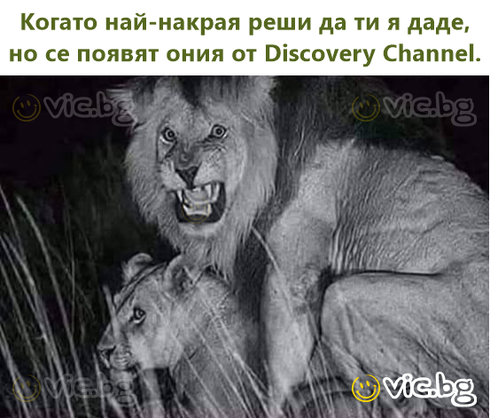 Когато най-накрая реши да ти я даде, но се появят ония от Discovery Channel.