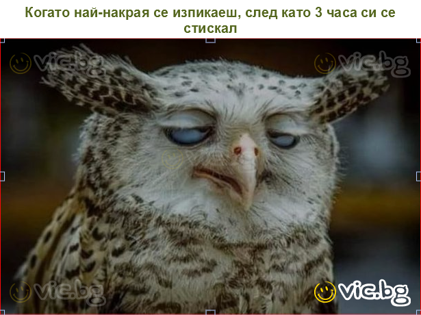 Когато най-накрая се изпикаеш, след като 3 часа си се стискал