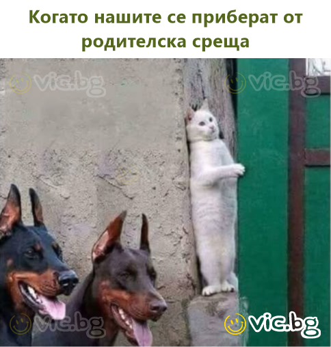 Когато нашите се приберат от родителска среща