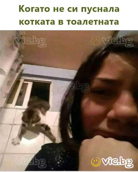 Когато не си пуснала котката в тоалетната
