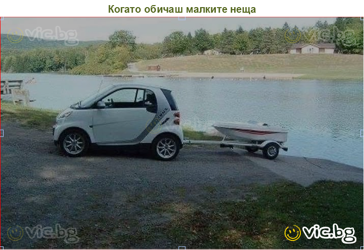 Когато обичаш малките неща