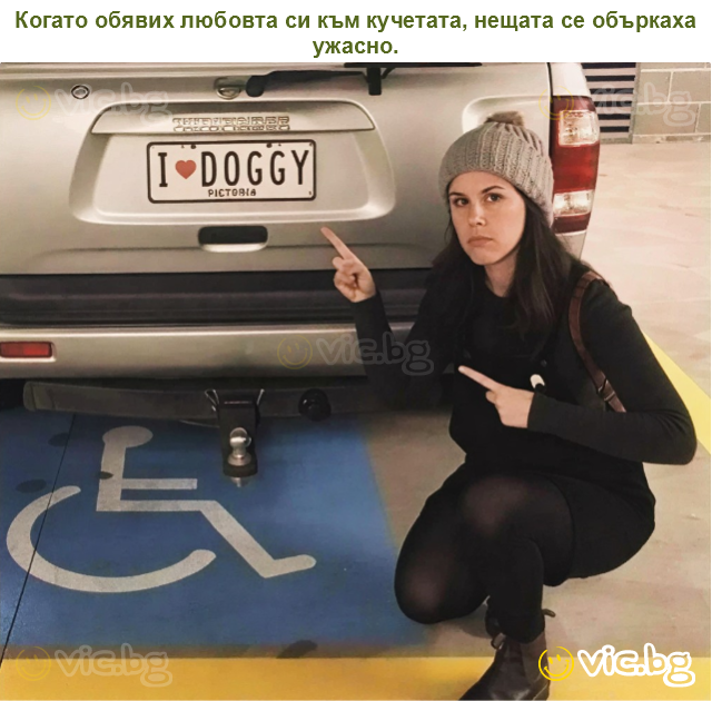 Когато обявих любовта си към кучетата, нещата се объркаха ужасно.