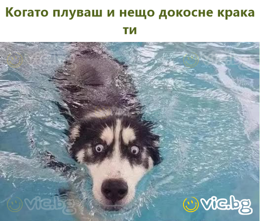 Когато плуваш и нещо докосне крака ти