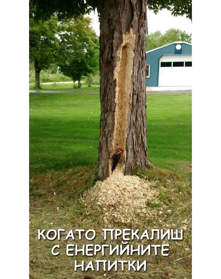 Когато прекалиш с енергийните напитки